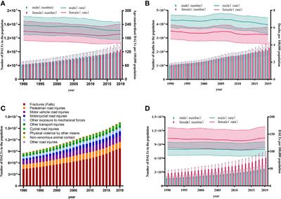 The Global Burden of Osteoporosis, Low Bone Mass, and Its Related Fracture in 204 Countries and Territories, 1990-2019